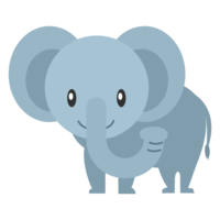 Cute elephant character