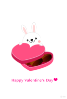 Valentine of chocolate and white rabbit