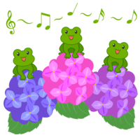 青蛙合唱与绣球花