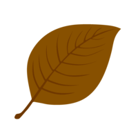 Simple fallen leaves