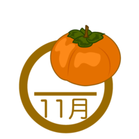 November image of persimmon
