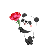 Panda presenting carnation