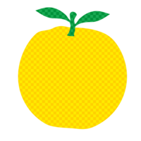 Grapefruit (check pattern)