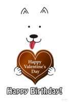 Chocolate and white dog Valentine