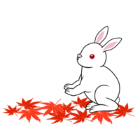 红叶落叶和兔子