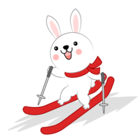 滑雪兔子