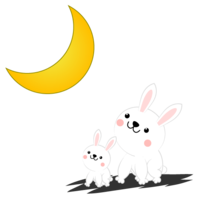 赏月兔子