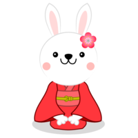 Rabbit in kimono