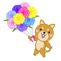 花束をプレゼントする柴犬
