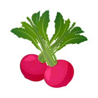 Red turnip