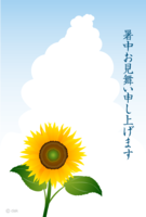 Sunflower and cumulonimbus