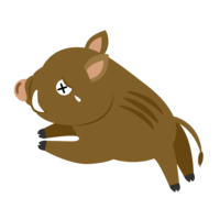 Wild boar crying and running away