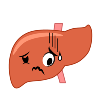 Liver with disease