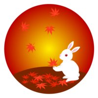 Autumn leaves and rabbit
