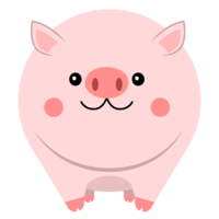 Whole pig