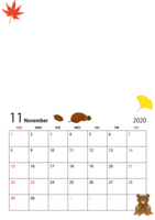November 2020 calendar with photos