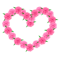 Carnation heart mark