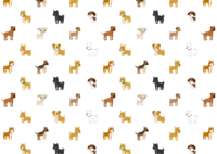 Many dog ​​wallpapers