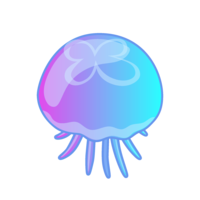 Beautiful jellyfish (above)