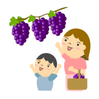 Grape picking with family