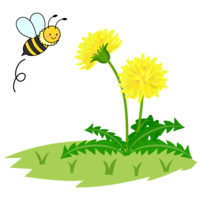 蜜蜂和蒲公英