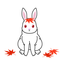 White rabbit with maple leaves