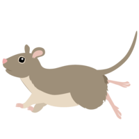 Running mouse (horizontal)