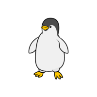 子供のペンギン