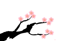 樱花树壁纸