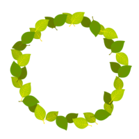 Yellow-green leaf circle
