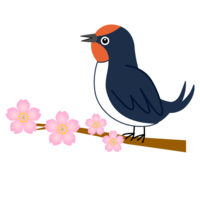 Cherry blossoms and cute swallows