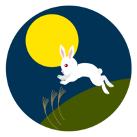 月夜にジャンプするウサギ