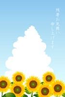 Sunflower field lingering summer heat