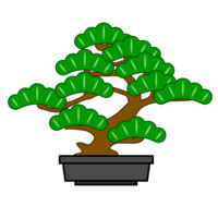 盆栽の松