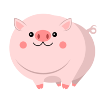 Fat cute pig