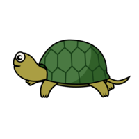 Turtle seen from the side