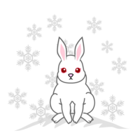 Snow White Rabbit