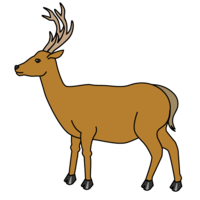 Deer with horns