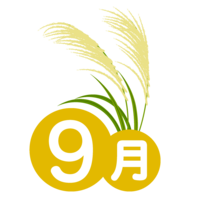 September of Japanese pampas grass