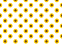 Sunflower flower wallpaper