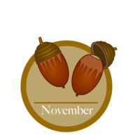 November of acorn