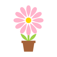Pink flower in a cute flowerpot