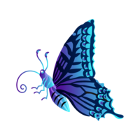 Blue swallowtail butterfly (horizontal)
