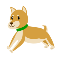 Running Shiba Inu