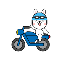 Rabbit riding a motorcycle