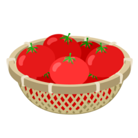 ザルいっぱいのトマト