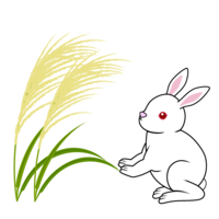 Japanese pampas grass and white rabbit