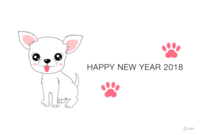 New Year's card of white Chihuahua