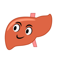 Liver character