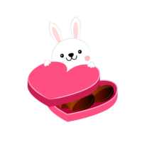 Rabbit Valentine chocolate